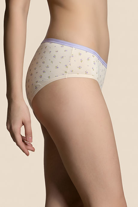 Zivame Regular Rise Full Coverage Hipster Panty (Pack of 3) - Multicolor — image 11